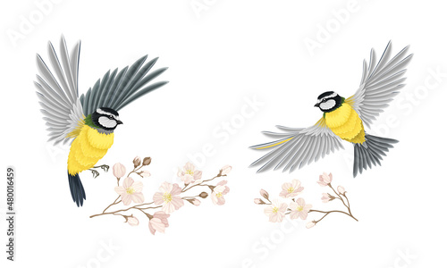 Small tit bird and blooming twig of sakura tree set. Symbol of spring cartoon vector illustration