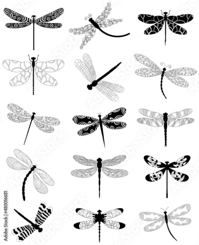 dragonfly set silhouette on white background, isolated, vector