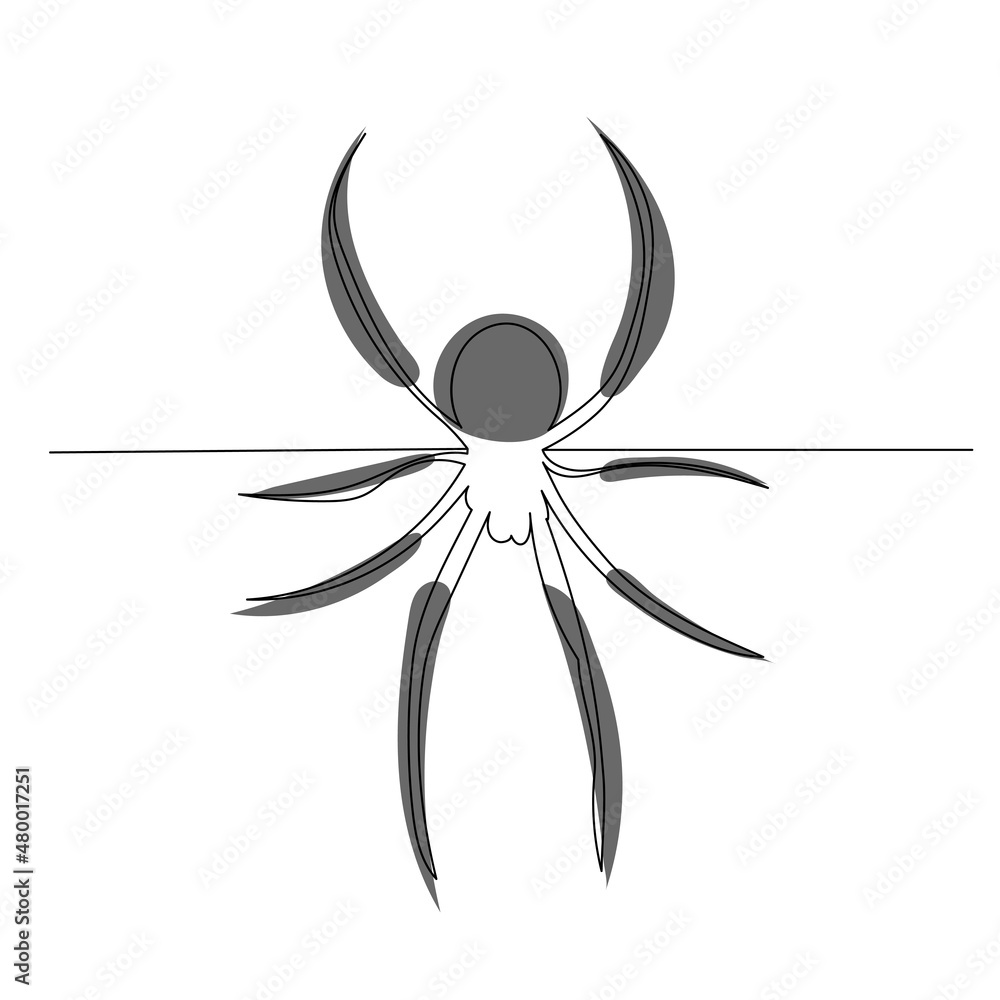spider drawing by one continuous line, isolated, vector spider drawing by one continuous line, isolated, vector