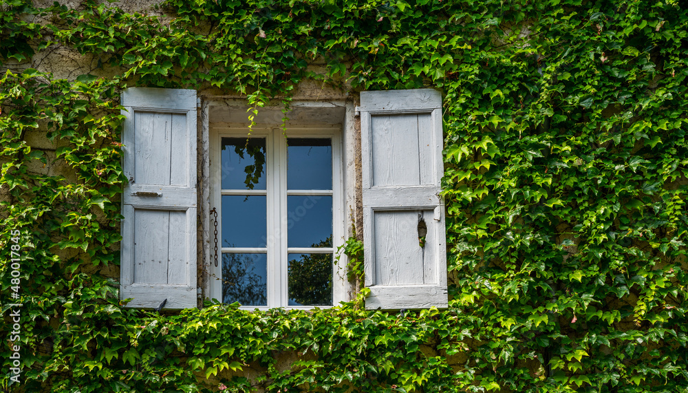 Traditional eco architecture with plants on the facade. Ecology and green environment concept. Stone farmhouse at French Alps. Farmhouse windows with old shabby shutters surrounded by ivy. Traditional eco architecture with plants on the facade. Ecology and green environment concept. Stone farmhouse at French Alps. Farmhouse windows with old shabby shutters surrounded by ivy.