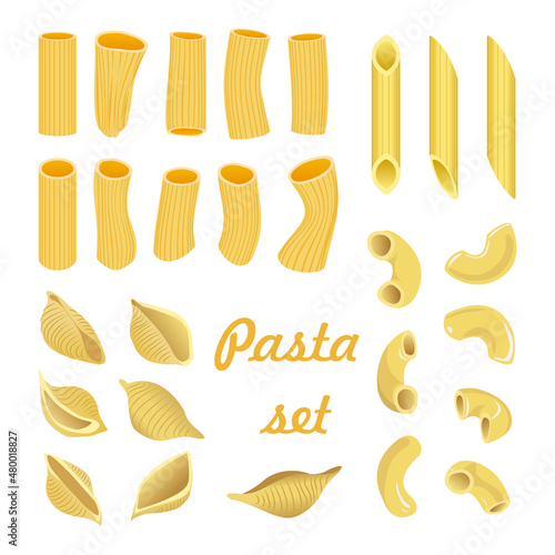 Vector set of different types of pasta isolated on white background. Penne rigate, conchiglie, elbow, rigatoni.
