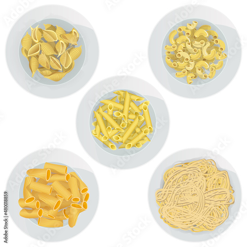 Vector set of different types of pasta in plates isolated on white background. Top view of long tangled spaghetti, penne rigate, conchiglie, elbow, rigatoni.
