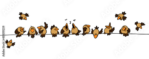 flock of crazy sparrows with humor and a smile