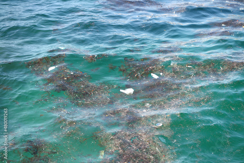 Rubbish and debris floating on the Cantabrian sea (Atlantic Ocean) of Riazor beach in A Coruña, Spain. photo