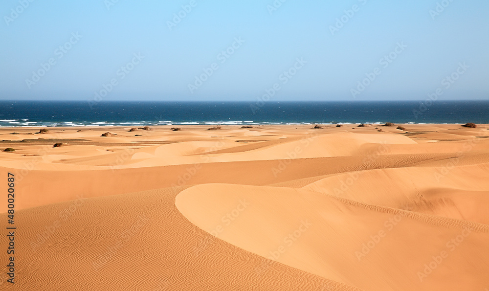 Dunes landscape, Maspalomas, Cran Canaria, Spain.