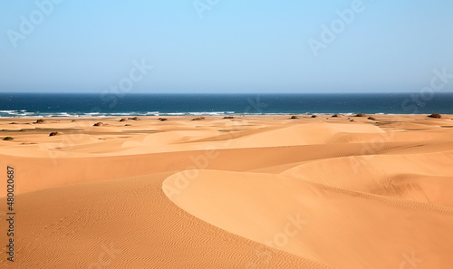Dunes landscape, Maspalomas, Cran Canaria, Spain.