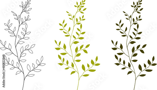 Collection of greenery. Leaves of herbaceous plants. Silhouettes of twigs of the plant. Vector illustration on a white background.