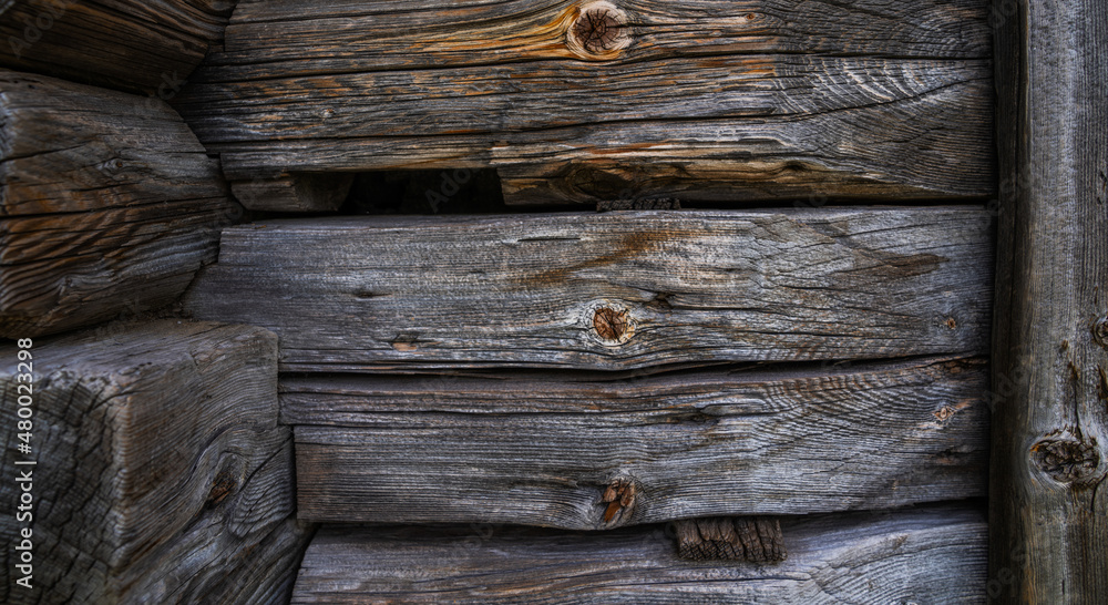 Obraz premium Texture of old bark wood used as natural background. Vintage toned. Empty template.