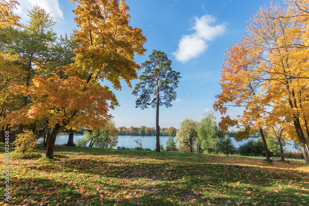 Autumn landscape with picturesque trees by the lake