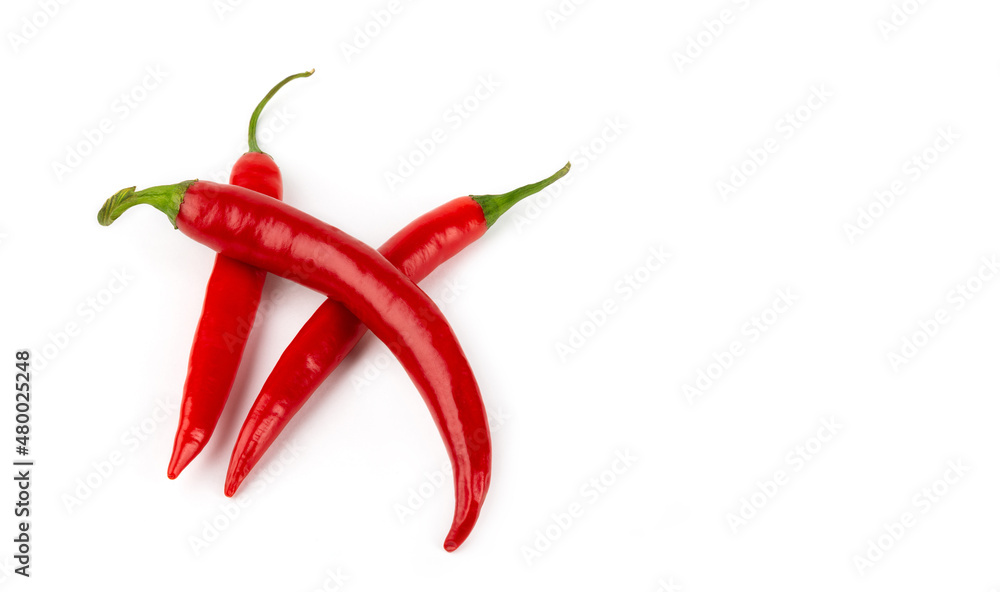 Three red chili peppers isolated on white background. Copy space.	