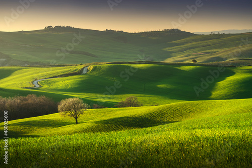 Springtime in Tuscany, rolling hills and trees. Pienza, Italy photo