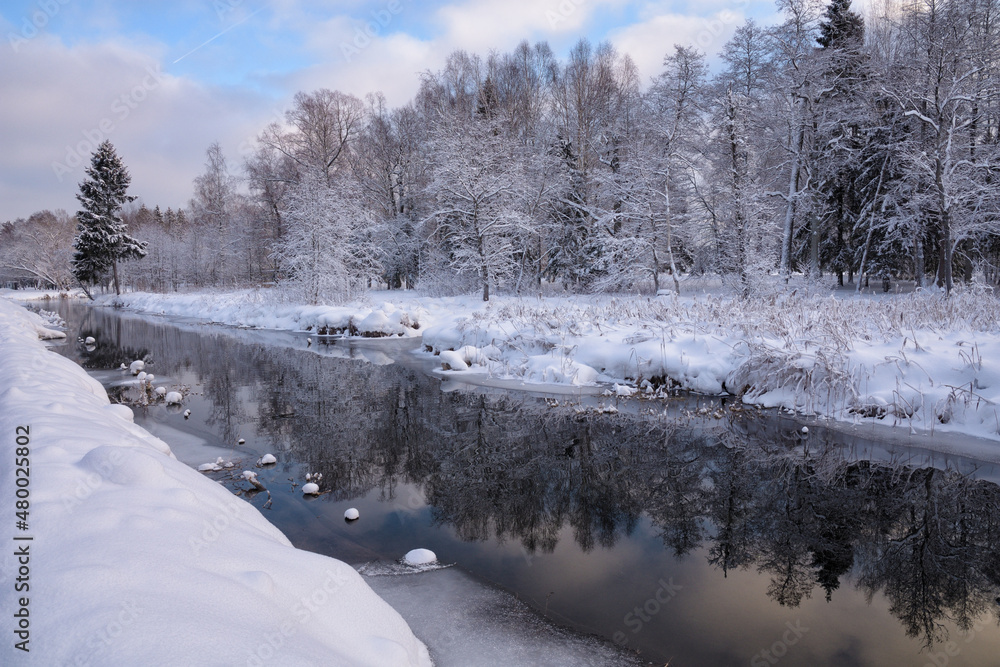Winter season in the forest.