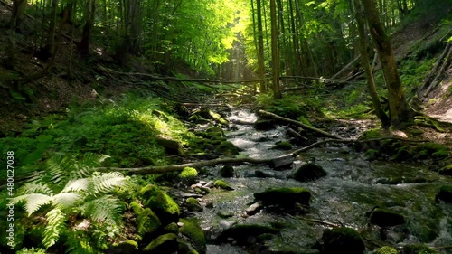 Mountain river flows in a deep magical forest. Sun rays make their way through the crowns of green trees, illuminating water cascades.
