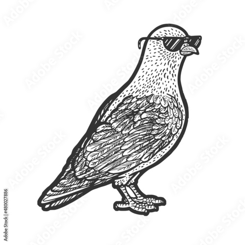 dove in sunglasses sketch engraving vector illustration. T-shirt apparel print design. Scratch board imitation. Black and white hand drawn image.