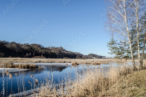 Winter lake with ice and frost in the reeds.