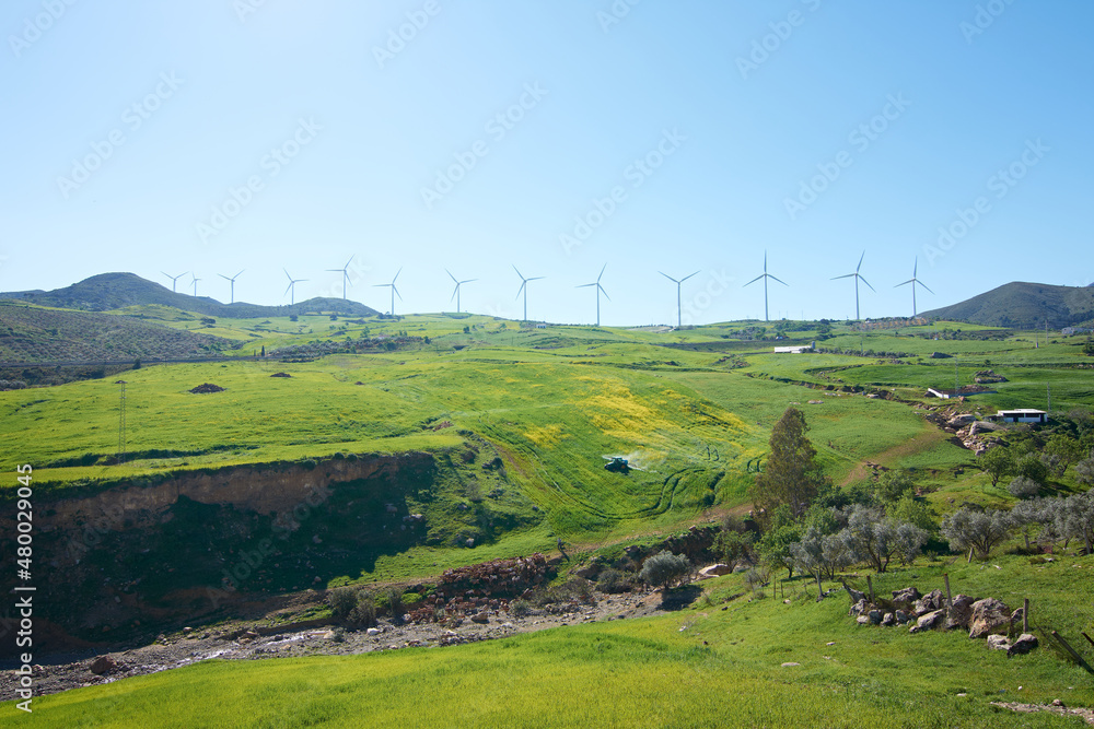 Obraz premium A scenic view of a field with a lot of windmills on a sunny day, Ardales, Malaga, Spain
