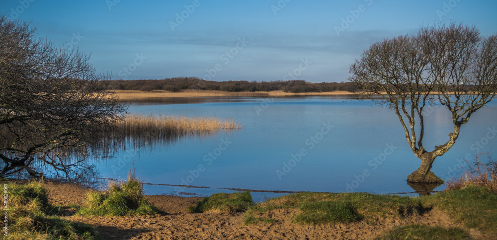 KENFIG  Nature Reserve, WALES, UK