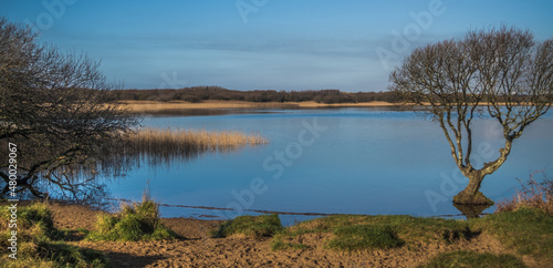 KENFIG  Nature Reserve, WALES, UK