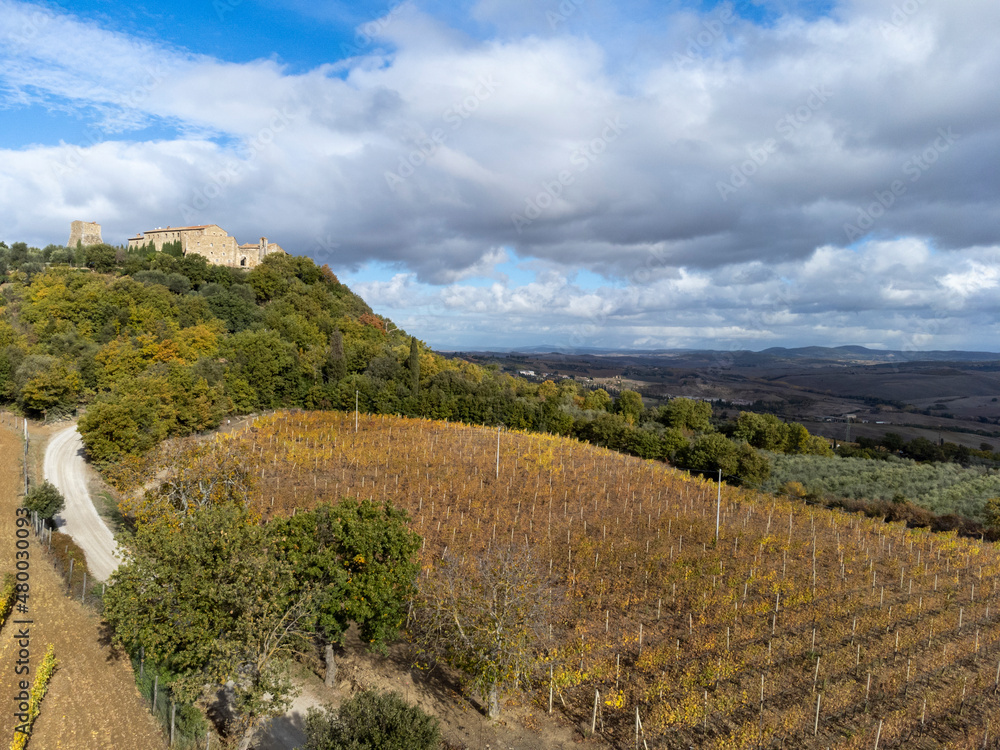 Fototapeta premium Aerial view on hills of Val d'Orcia, autumn on vineyards near wine making town Montalcino, Tuscany, rows of grape plants after harvest, Italy