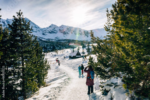 Fototapeta Naklejka Na Ścianę i Meble -  Tatra mountians at winter time. View of the white snow-capped peaks, frosty winter mountains.Tatra Mountains in Poland, near Zakopane, Europe.