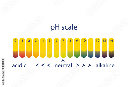 Acidity scale of litmus indicator paper. Vector illustration.