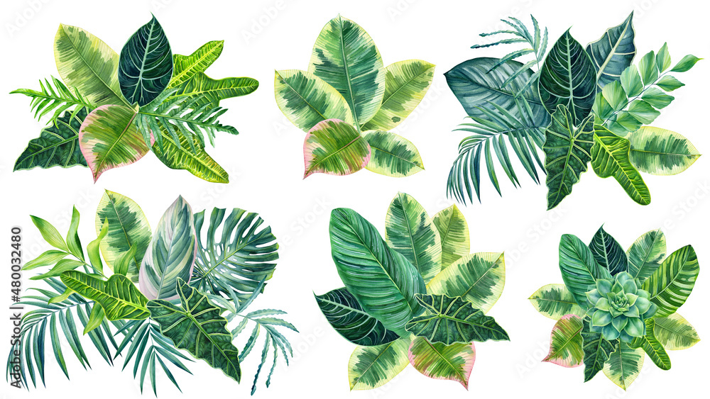 set of tropical palm leaves on isolated white, watercolor drawing, botanical painting, exotic flora - obrazy, fototapety, plakaty 