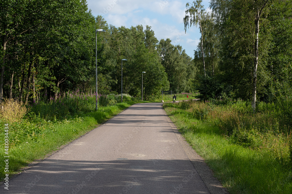 Looking down a bicycle road in summer.. Looking down a bicycle road in summer..