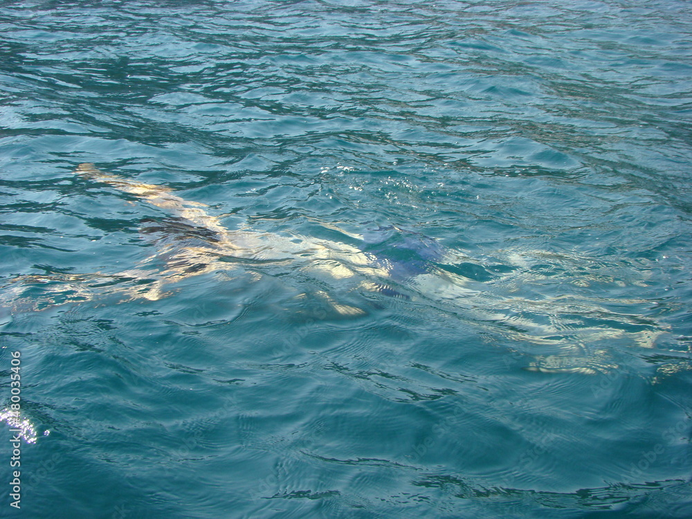 Silhouette of a man under water in the sea Silhouette of a man under water in the sea