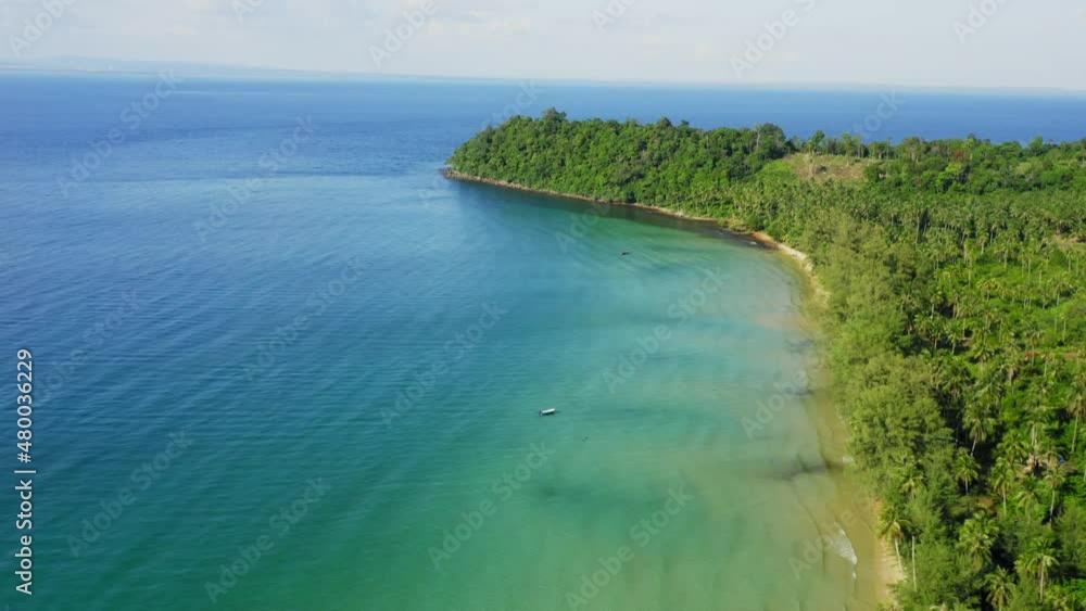 The coastal forest on Koh Rong island, Cambodia The coastal forest on Koh Rong island, Cambodia