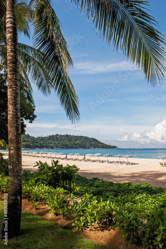 Tropical beach resort with palm trees, pool and beach © joe888
