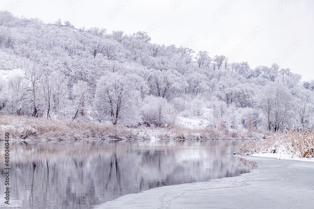 River landscape in the winter forest with trees covered with fresh snow. Snowy winter river landscape.