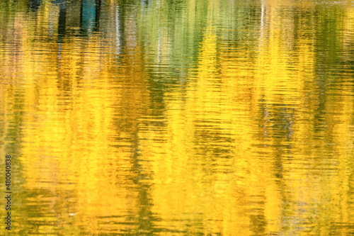Autumn Colors Reflecting in Pond