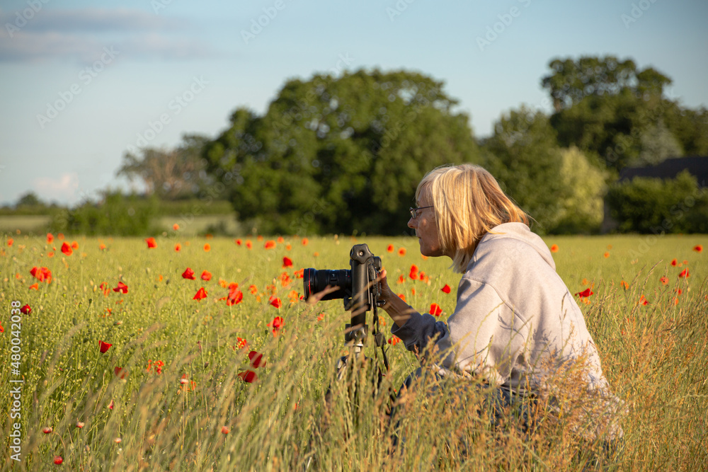 Φωτογραφία woman photographer taking photos with tripod in poppy field in England