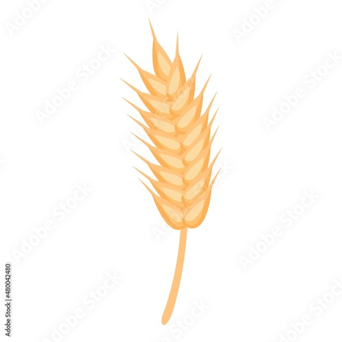 Wheat zn nutrition icon cartoon vector. Food vitamin. Mineral suplemet