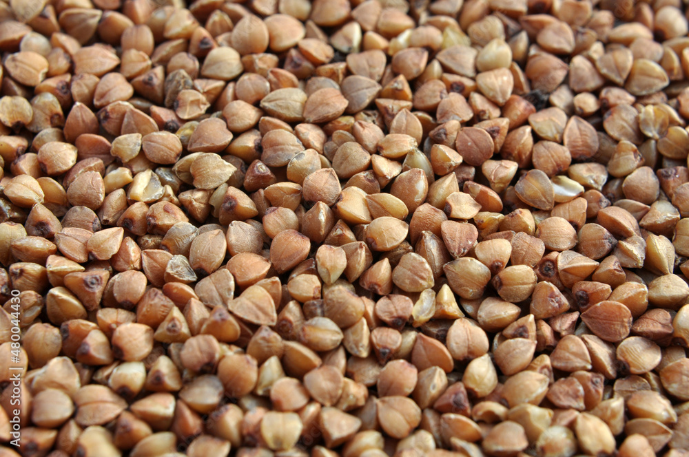 Dry threshed buckwheat groats Dry threshed buckwheat groats