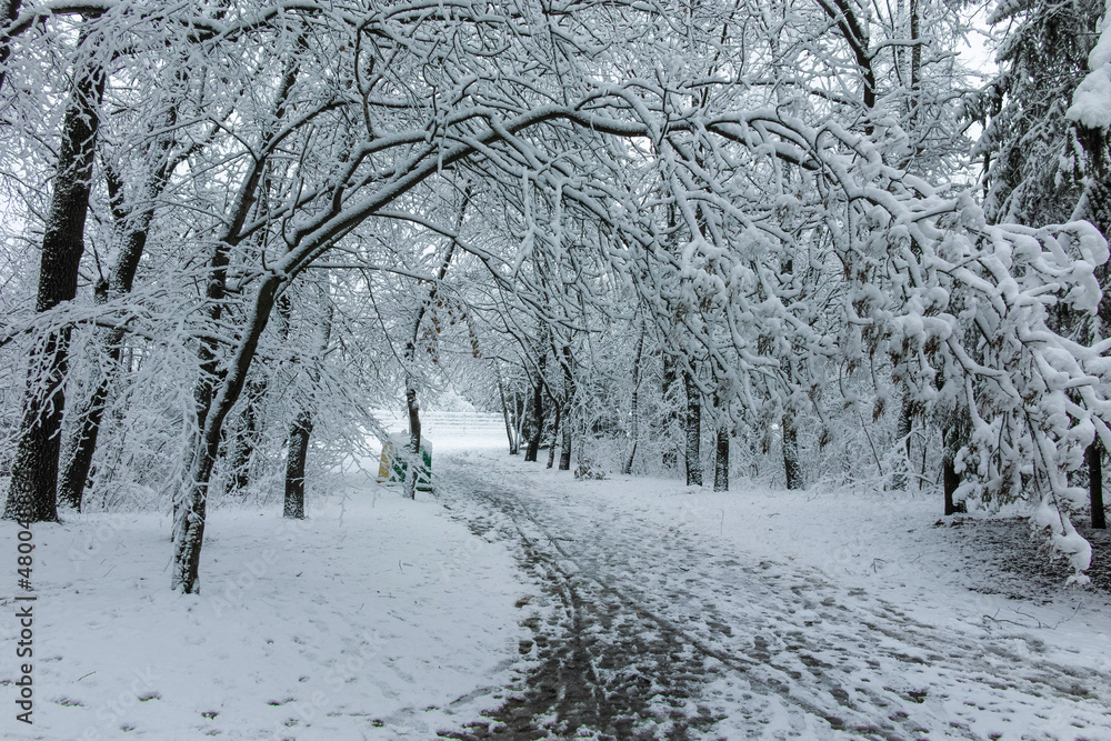 Winter landscape of South Park in city of Sofia, Bulgaria Winter landscape of South Park in city of Sofia, Bulgaria