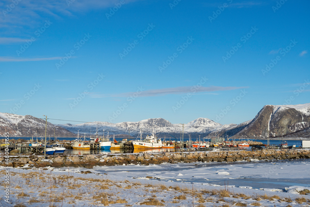 View at the harbour and village of Tromvik and the fjord in the Atlantic Ocean with a snowy field in the polar area and mountains covered in snow near Tromso Norway