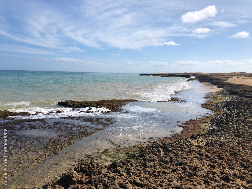 beach and sea