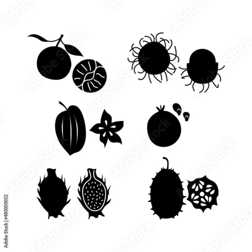 Black silhouettes on a white background, various exotis fruits. Vector illustration.