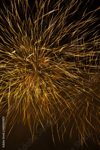 fireworks display lights up the sky during celebration