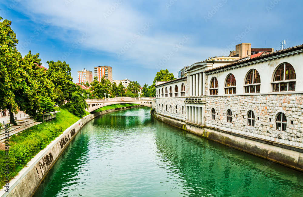 The river Ljubljanica in Ljubljana, Slovenia with traditional architecture