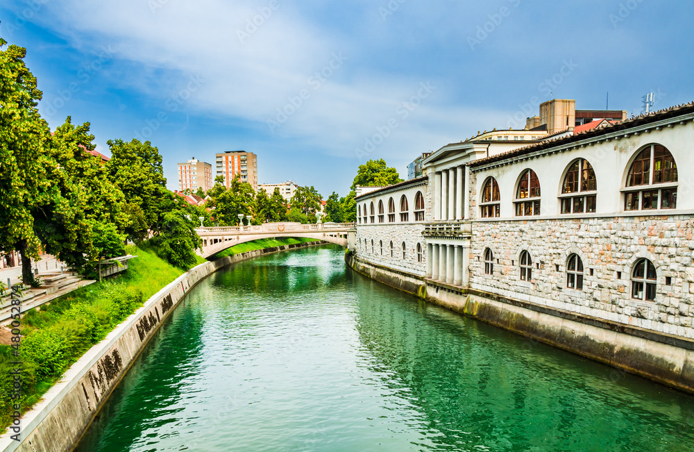 Fototapeta premium The river Ljubljanica in Ljubljana, Slovenia with traditional architecture