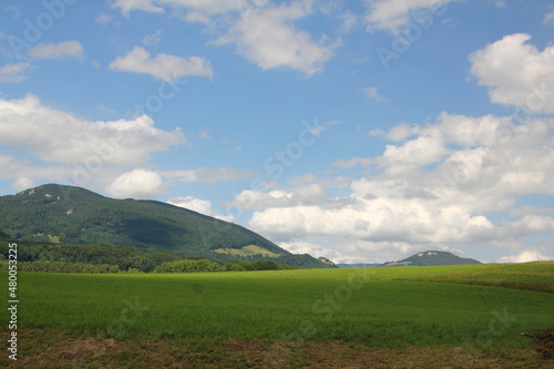 view of beautiful landscape in the Alps with fields