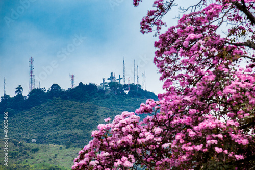 View of the iconic Hill of the Three Crosses at the city of Cali in Colombia photo