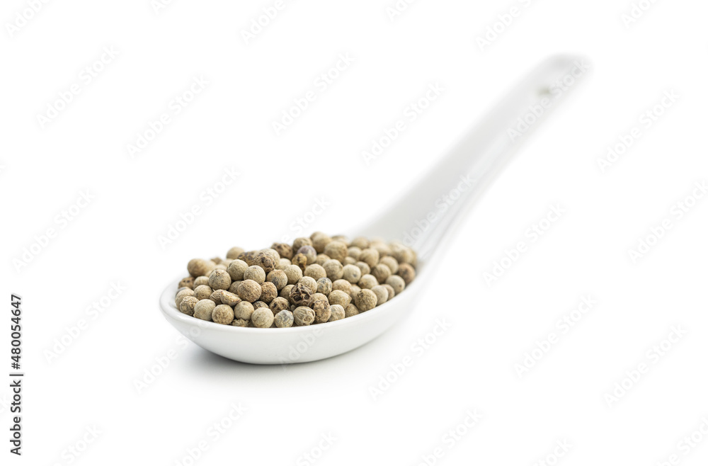 Whole pepper spice. White peppercorn grain in ceramic spoon Whole pepper spice. White peppercorn grain in ceramic spoon