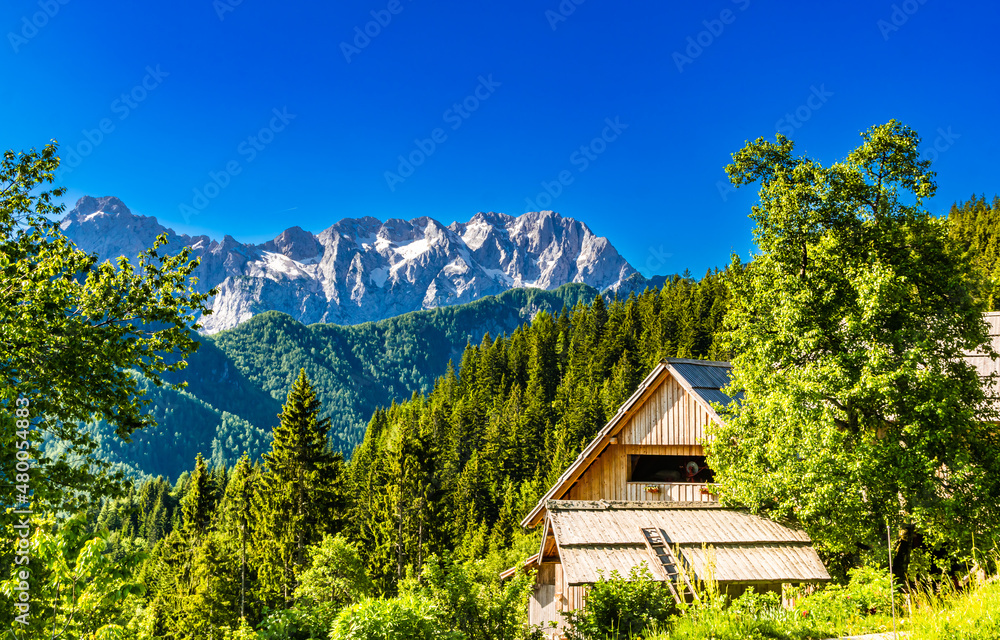 Barn in the slovenian Alps next to Logarska Dolina