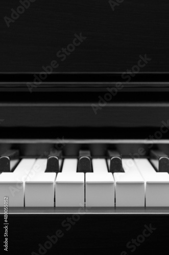 Canvas Print Electric piano keys close-up front view with copy space