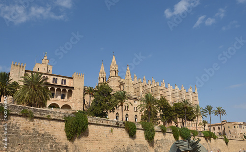 Palast der K  nige von Mallorca und Kathedrale der Heiligen Maria in Palma  Spanien 