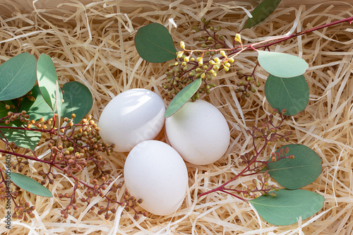 Eco friendly Easter composition with white eggs and fresh green branches on straw background. Plastic free holidays concept.