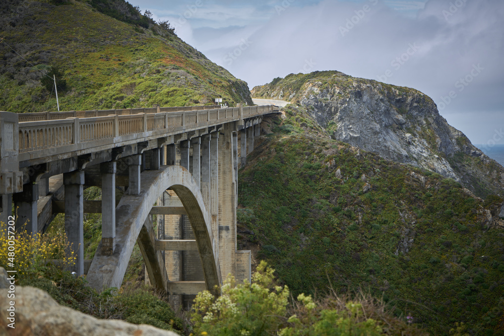 Fototapeta premium bridge over the river on california coast